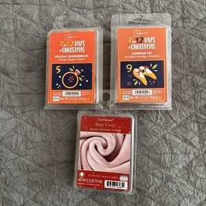 Lot of 3 Scented Wax Cubes Holiday Gingerbread Pumpkin Pie Warm Christmas Wishes